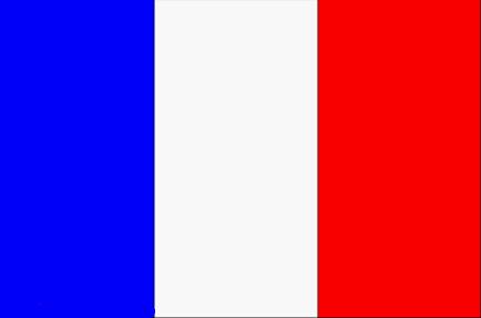 Las alternativas democráticas 2. FRANCIA -Francia sufrió enormemente los efectos de la Gran Guerra: muertos, destrozos, endeudamiento, etc.