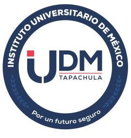 La Red Nacional de Instituciones de Educación Superior en Trabajo Social y el Instituto Universitario de México CONVOCAN Al XXI Encuentro Nacional y XI Internacional de investigación en Trabajo
