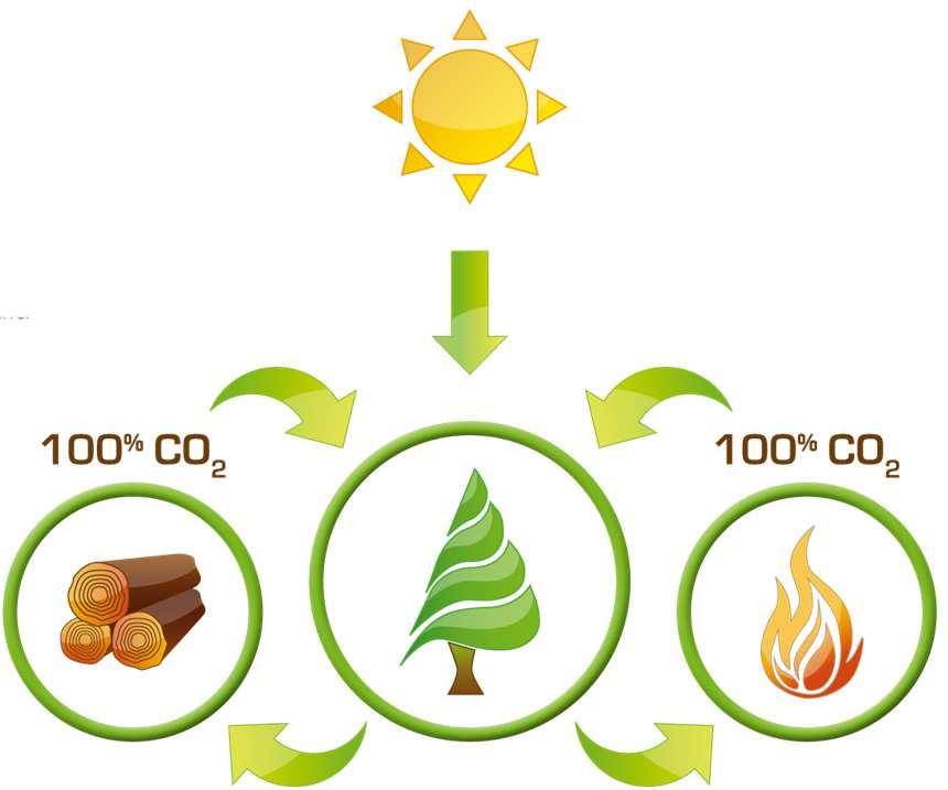 De Gas Natural a Biomasa de Astilla Forestal LA BIOMASA ES NEUTRA EN EMISIONES DE CO2 Porque la biomasa lleva fijado CO2, emisiones asociadas a la combustión