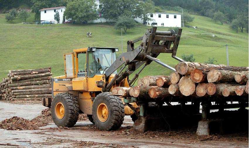 Desarrollo del Sector Forestal Aprovechamiento de Recurso Local