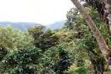 , 2004), o bosque tropical perennifolio y bosque de coníferas de acuerdo a Aguirre-León (1992) y Martínez-Meléndez et al. (2009). Organización de esta guía 24 A B E C Figura 3.