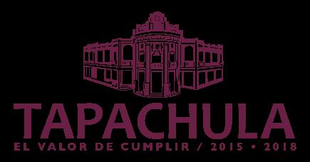 AYUNTAMIENTO MUNICIPAL DE TAPACHULA, CHIAPAS PROGRAMA OPERATIVO ANUAL EJERCICIO 2016 DEPENDENCIA: SECRETARIA DE EQUIDAD Y EMPODERAMIENTO DE LAS MUJERES PERIODO: ENERO A DICIEMBRE DEL 2016 No.