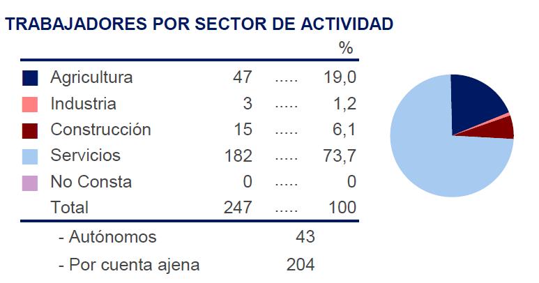 Servicios: 73,7 % A continuación se exponen gráficos elaborados por el informe de Caja España y Caja Duero, según datos del Ministerio de Empleo y Seguridad Social y de la Tesorería General de la