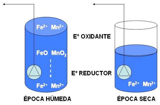 (medio oxidante), pasando a óxido de hierro y óxido de manganeso, precipitando al fondo (medio reductor), que por su menor concentración de oxígeno y la presencia de microorganismos consumidores del