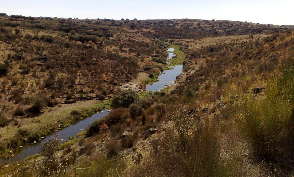 Río Ruecas, por La Pinilla, S de Logrosán. NE Hoja de Zorita.