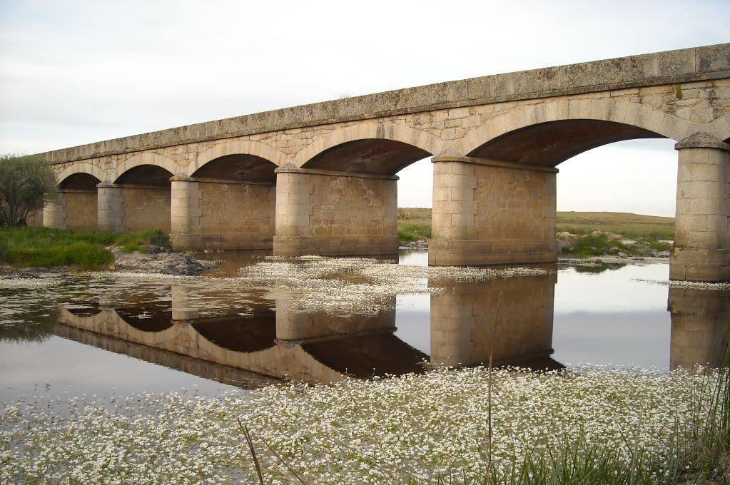 Puente sobre el Río Ayuela, NW Hoja de