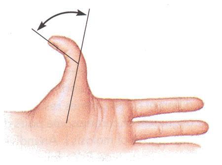 Algunas personas pueden inclinar la coyuntura distal o final del pulgar hacia atrás a un ángulo mayor de 45 grados.