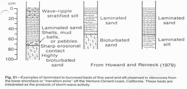 Modelo de secuencias verticales Las secuencias verticales formadas por las progradaciones marinas de depósitos de playa y de costas en la Isla de Galveston puede describirse con detalles en estudios