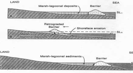 Variaciones de los niveles del mar y sus implicaciones Costas con erosión en la orilla (ejemplo en las barreras