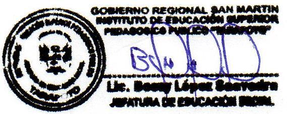 MINISTERIO DE EDUCACIÓN 2010: Propuesta pedagógica de educación inicial (guía curricular). Lima-perú.-2009 UNIVERSIDAD NACIONAL PEDRO RUIZ GALLO 2002. Programa de Complementación Académica Docente.