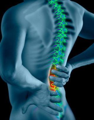 INDICADORES: SALUD PERCIBIDA Los participantes del programa (1300) manifiestan: El 91% considera que ERGOMIX es un entrenamiento eficaz como medida para los dolores de espalda.
