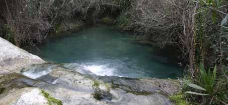 El agua en la ruta 229 Toll de l Alcàntara Están formados predominantemente por calizas eocenas, de alta permeabilidad, y tienen como sustrato impermeable una formación geológica arcillosa, del