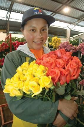 E X P O F L O R E S Asociación Nacional de Productores y Exportadores de Flores del Ecuador, creada hace 30 años, agrupa a fincas productoras, obtentores, comercializadoras y otras empresas de la