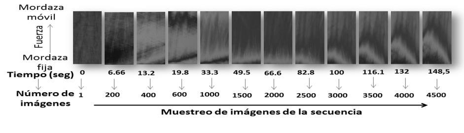 Tecno. Lógicas., Edición Especial, octubre de 2013 [703] fuerza en función del número de muestras durante la deformación de una película plástica. Fig. 4.