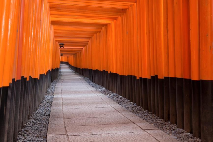 Visita de la antigua capital Kyoto con guía de habla española para conocer el castillo Nijo, el templo Kinkakuji (el famoso Pabellón Dorado), y el fabuloso templo shinto de Heian, en cuyos hermosos