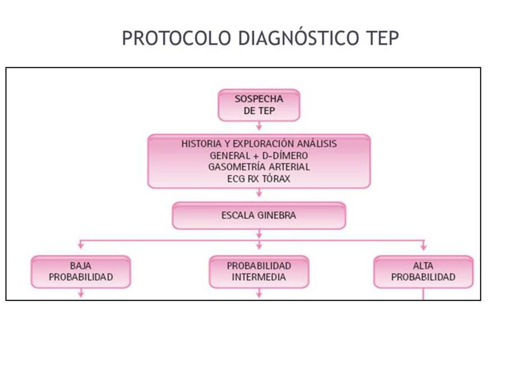 Fig. 4: Protocolo