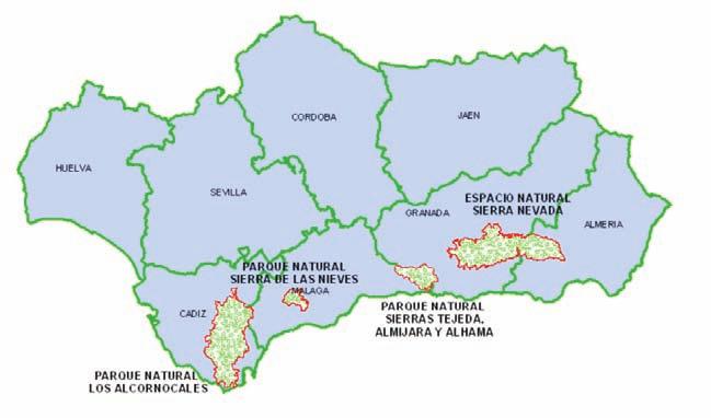 La Red de Áreas Pasto-Cortafuegos de Andalucía (Rapca) está formada por un conjunto de cortafuegos y áreas cortafuegos en las que se planifica un aprovechamiento ganadero que controla, mediante el
