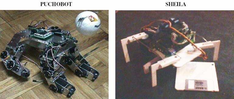 4 Figura 1.2 A la izquierda un robot que usa cuatro patas para su locomoción. A la derecha, un hexápodo, tomado de [3]. Figura 1.3 El robot ápodo CUBE 2.0, tomado de [3]. 1.2 ROBOTS CON PATAS Los robots con patas intentan heredar las características de los animales a los cuales imitan.