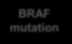 glutámico BRAF mutation MEK ERK Crecimiento celular anormal Una mutación única del codón (V600) en el