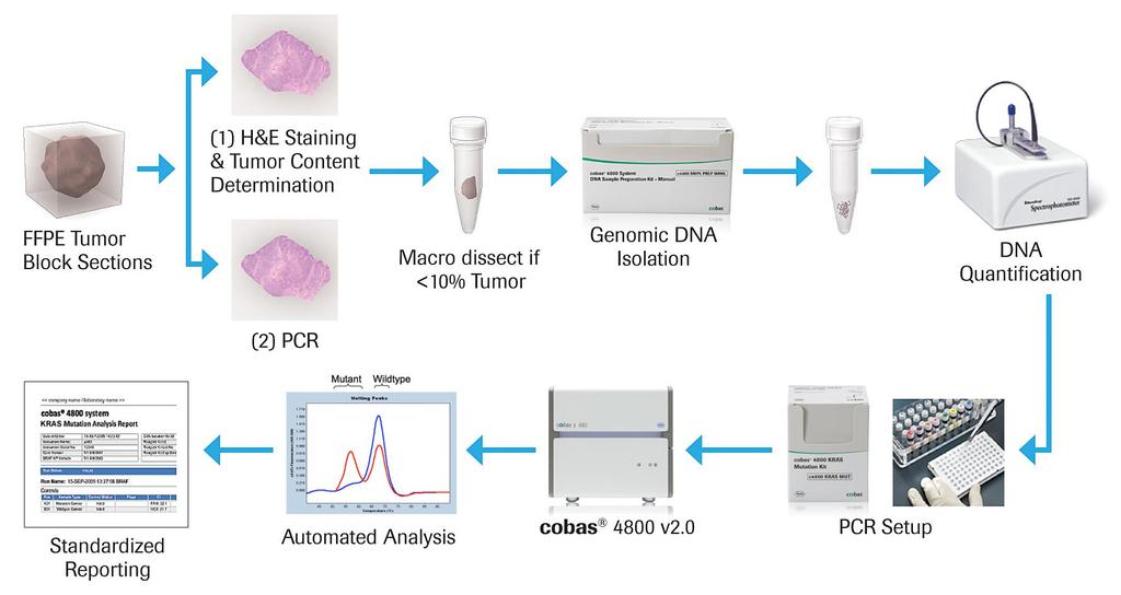 Determinación de la mutación BRAF: cobas 4800 Secciones del bloque de parafina (1) Tinción con H&E y determinación del contenido de tumor Macrodisección si <10% tumor Extracción de DNA genómico