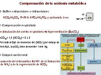 pco2 esperada: 11 mmhg Anión GAP= [Na+ ] ( [Cl-] + [CO3H-]) = = 115 ( 81,5 + 2,1) = 31 Acidosis metabólica con anión GAP aumentado por la presencia de cetoácidos: se ha dosado beta hidroxibutirato: