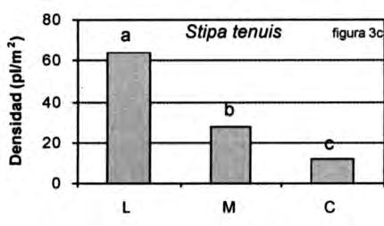 Densidad (plantas/m 2 ): a) Forrajeras; b) No forrajeras y c) Stipa tenuis.