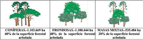 USOS DEL SUELO ALBACETE CIUDAD REAL CUENCA GUADALAJARA TOLEDO CASTILLA-LA MANCHA ha % ha % ha % ha % ha % ha % Forestal arbolado 473.290 632.942 701.344 553.732 378.289 2.739.