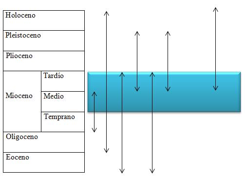 Figura 5.6. Zona de intersección que define el tiempo de depositación para la Formación Oficina de acuerdo a la información palinológica.