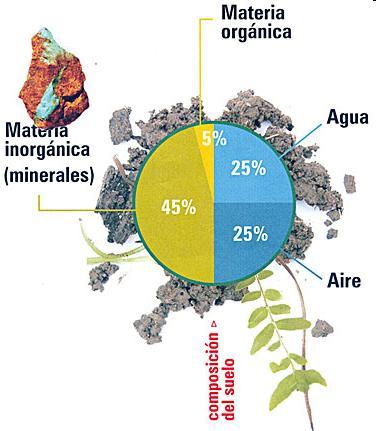 Inorgánicos: aire, agua y minerales