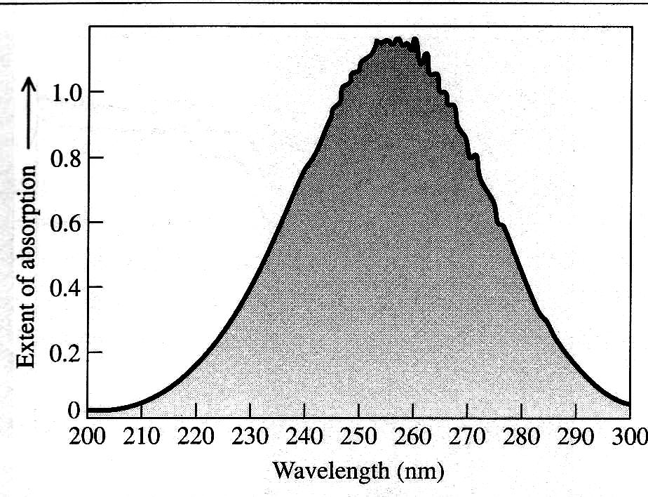 nivel del mar Longitud de onda (nm) Longitud de onda (nm) Espectrofotometría en análisis químico Método selectivo de identificación de sustancias: Las moléculas