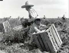mexicanos vinieron para trabajar en las granjas de los