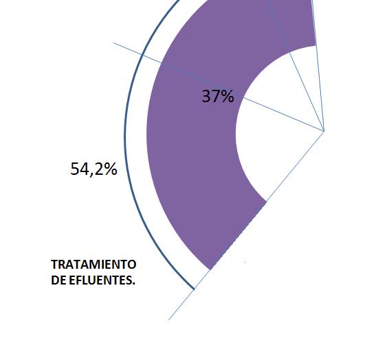 Uso principal Sector Público 54,2% de las plantas de biodigestión anaeróbica se construyeron con el objetivo de TRATAMIENTO (sistemas de tratamiento de efluentes