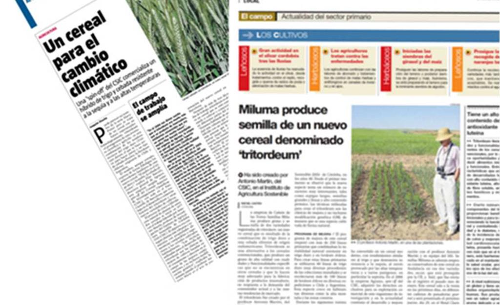 Vanguardia El Periódico de Catalunya