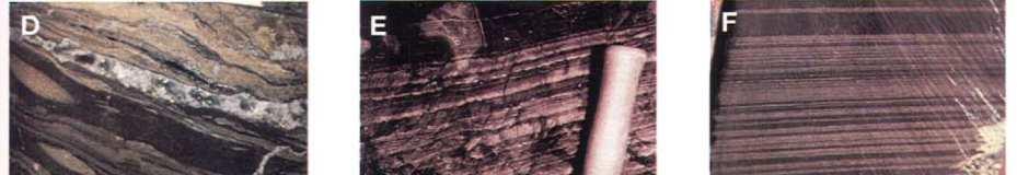 Diversidad de texturas en depósitos tipo SEDEX (Leach et at., 2005) D. Sulfuros bandeados del depósitoanarraaq deposit, northern Alaska, United States.
