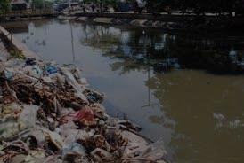 mal manejo de las basuras y el 2% no contribuye a que disminuyan los problemas ambientales que se generan por el mal