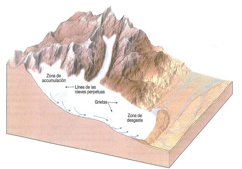 Balance de un glaciar Los glaciares se forman en áreas donde en invierno cae más nieve de la que se funde en verano.