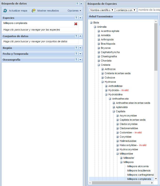 PASO2: En el panel de herramientas de búsqueda realizar el filtro por especies, haciendo click sobre el espacio que dice (Haga clic para buscar y navegar