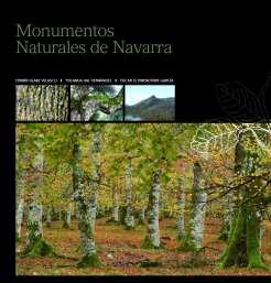 MONUMENTOS NATURALES DE NAVARRA Fermín Olabe, Yolanda Val & Oscar Schwendtner (2010) Libro publicado por Gobierno de Navarra.