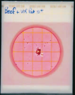 Vea los círculos y 2. Las burbujas pueden aparecer como resultado de una inoculación impropia o de aire atrapado dentro de la muestra.