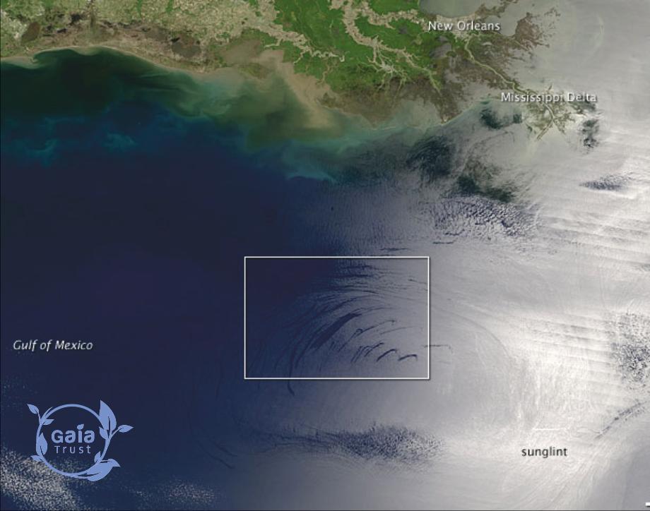 DERRAME DE PETRÓLEO EN EL GOLFO DE MÉXICO La Cuenca del Golfo se extiende sobre aproximadamente 1.5 millones de km 2.