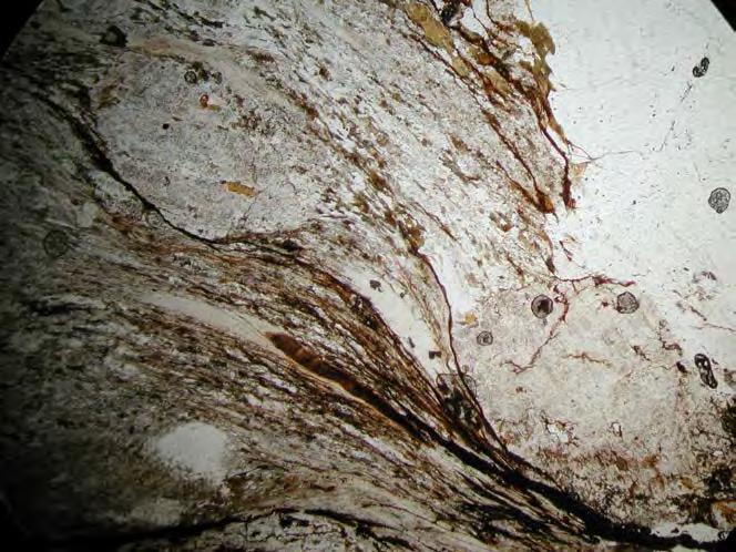 el bandeado de minerales micáceos (principalmente, moscovita) y de cuarzo+feldespato.