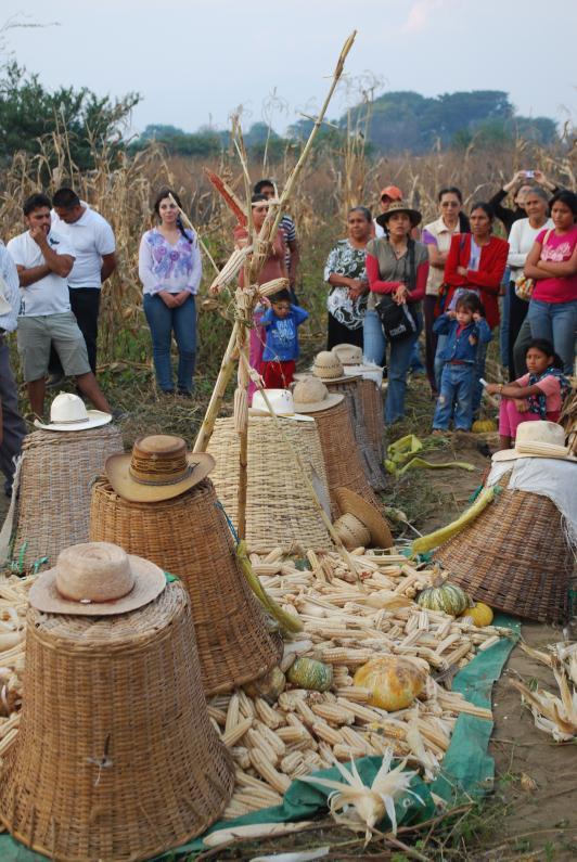 Contenido de la presentación Contexto mexicano: crisis en el sistema agroalimentario De la crisis a las