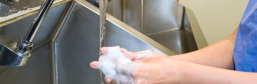 La línea de limpieza comercial e institucional entrega resultados notablemente mejores a los limpiadores basados en químicos, Evolve rápidamente limpia y desodoriza superficies, telas penetrando