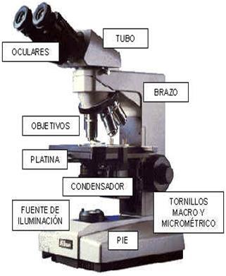 El microscopio, de micro- (pequeño) y scope (observar), es un instrumento que permite observar objetos que son demasiado pequeños para ser vistos a simple vista.