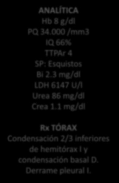 000 /mm3 IQ 66% TTPAr 4 SP: Esquistos Bi 2.3 mg/dl LDH 6147 U/l Urea 86 mg/dl Crea 1.