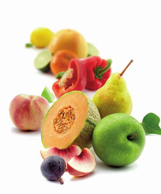 5buenos motivos para elegir los productos Socios de Bocuse d Or Winners Sabor, color y textura excepcionales y auténticos, muy próximos a los de las frutas y verduras frescas.