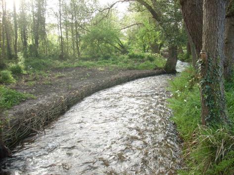 fluvial, aumentando la capacidad de laminación PREVENCIÓN Y PREPARACIÓN AUTORIDADES