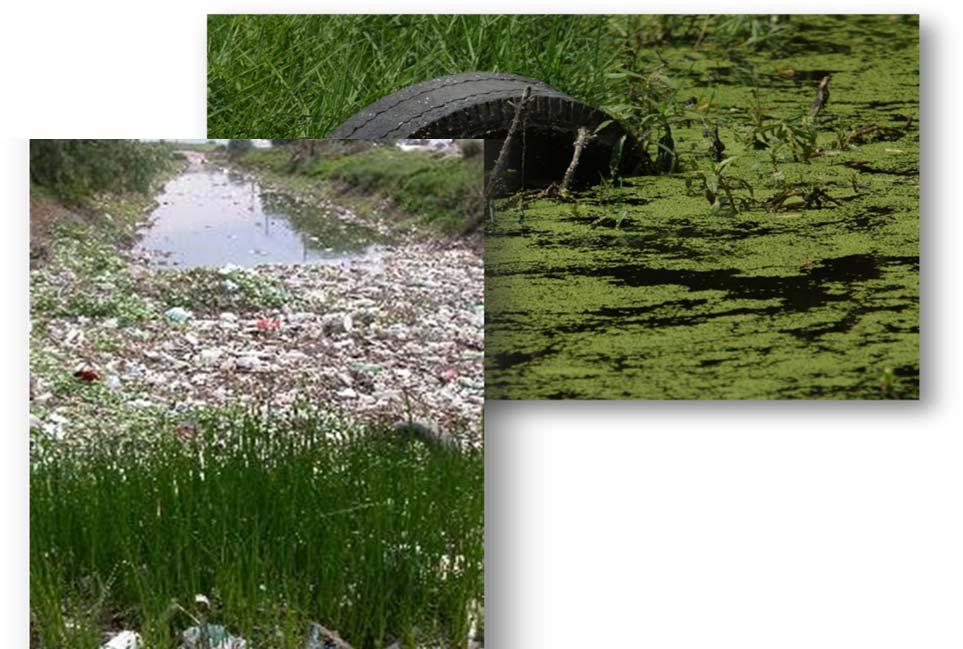 Otros problemas graves Contaminación de ríos, lagos, playas y