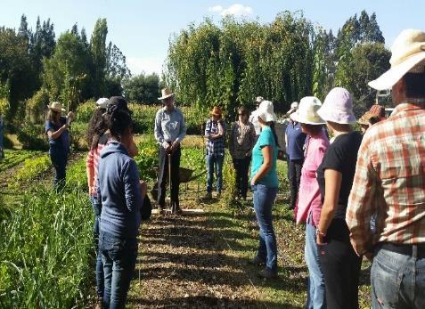 Experiencia Agroecológica de la Comuna de San Nicolás: Desarrollo territorial