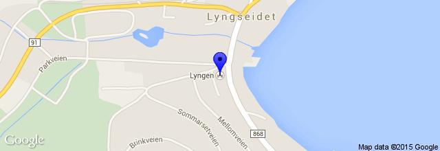 Lyngen Lyngen es un lugar de interés